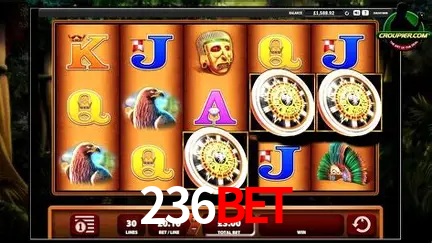 236bet cadastro