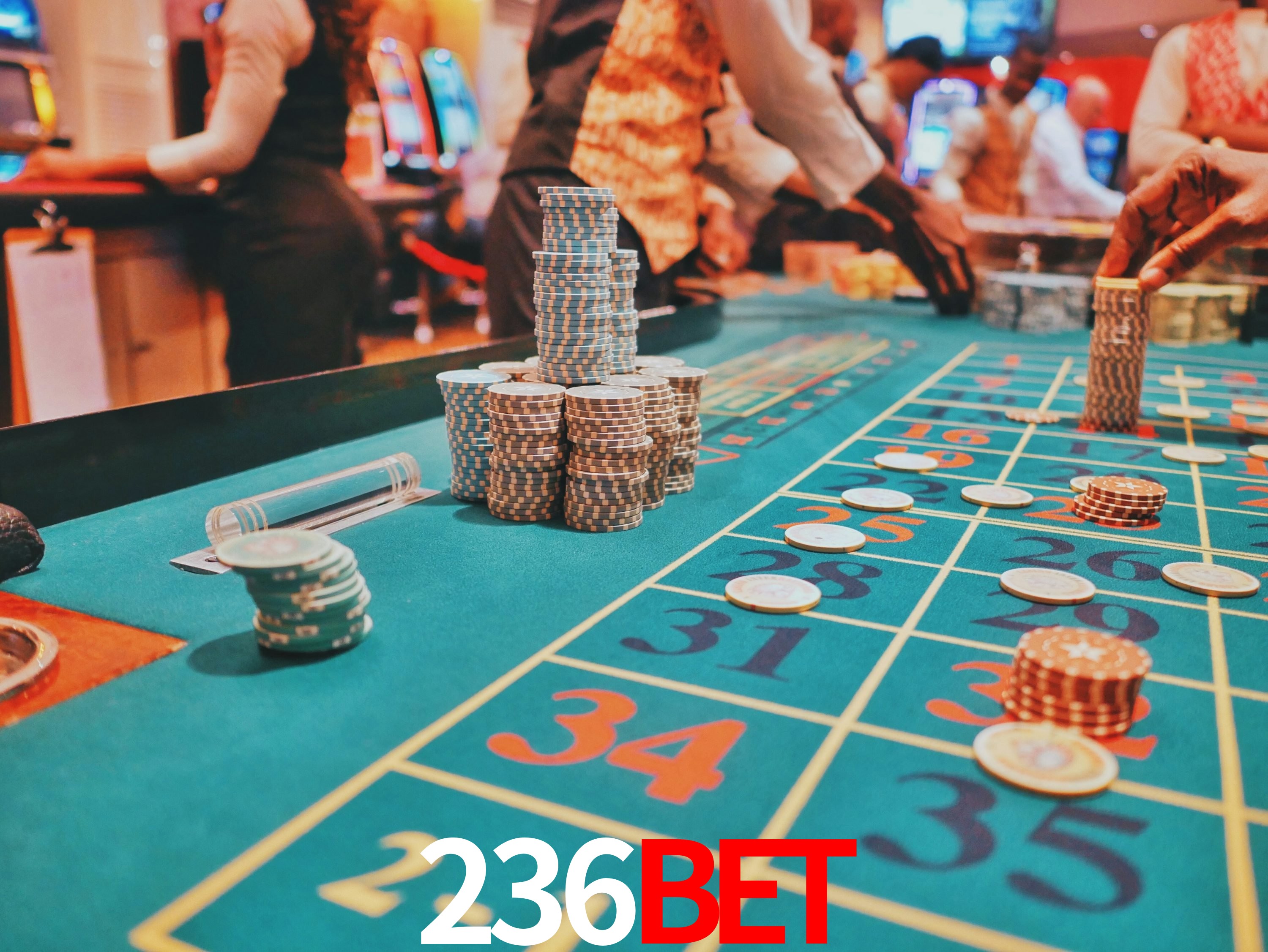 Programa VIP 236bet