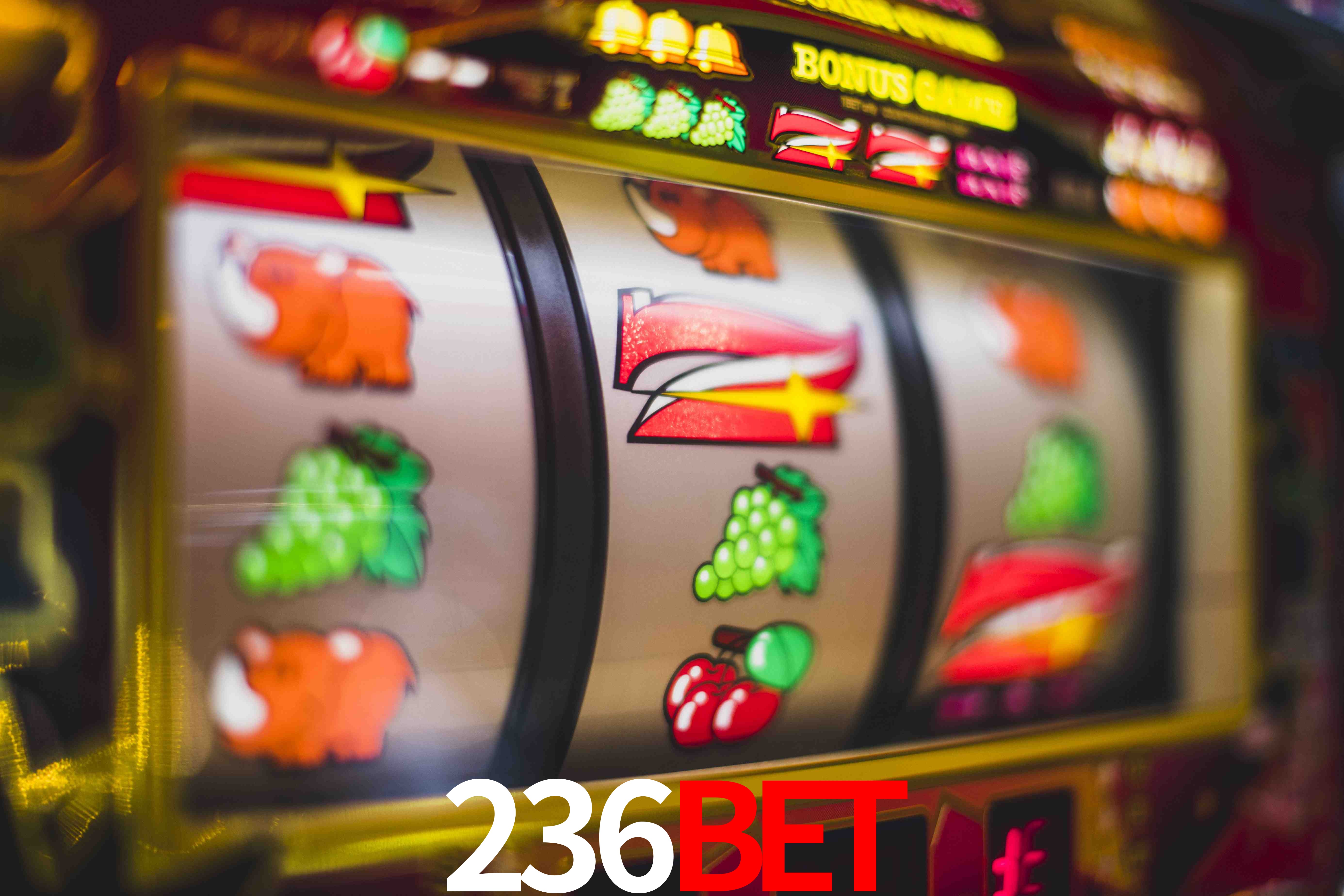 Basketball Betting 236bet
