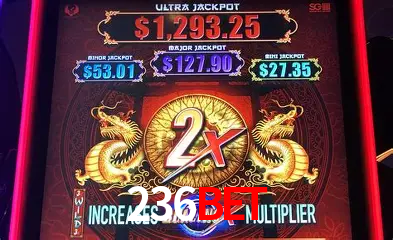 Descubra a Essência do 236bet: Nossa História e Compromissos